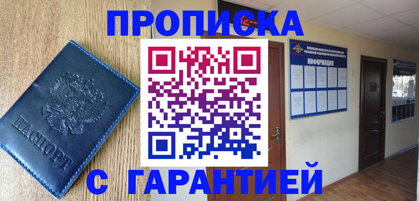 прописка для школы в Ленинградской области